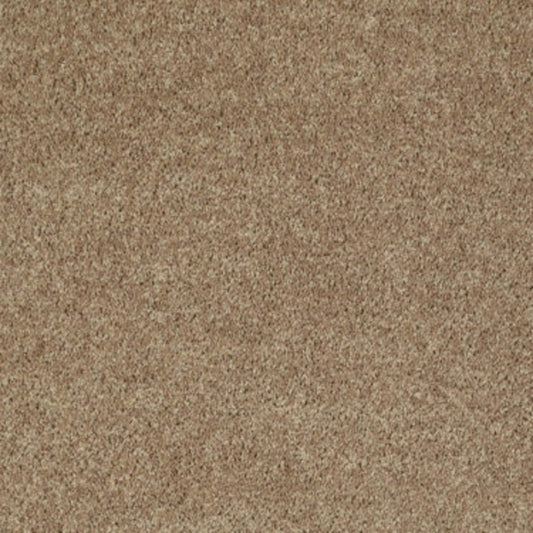 All Star Weekend III 15' in Golden Echoes Carpet