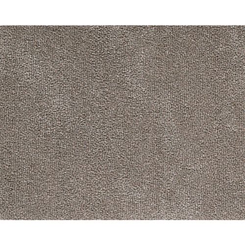 Lexus in Taupe