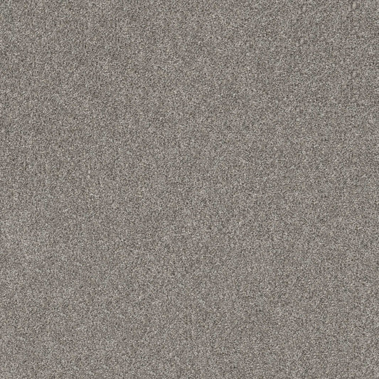 SHAKE IT UP (A) in London Fog Carpet