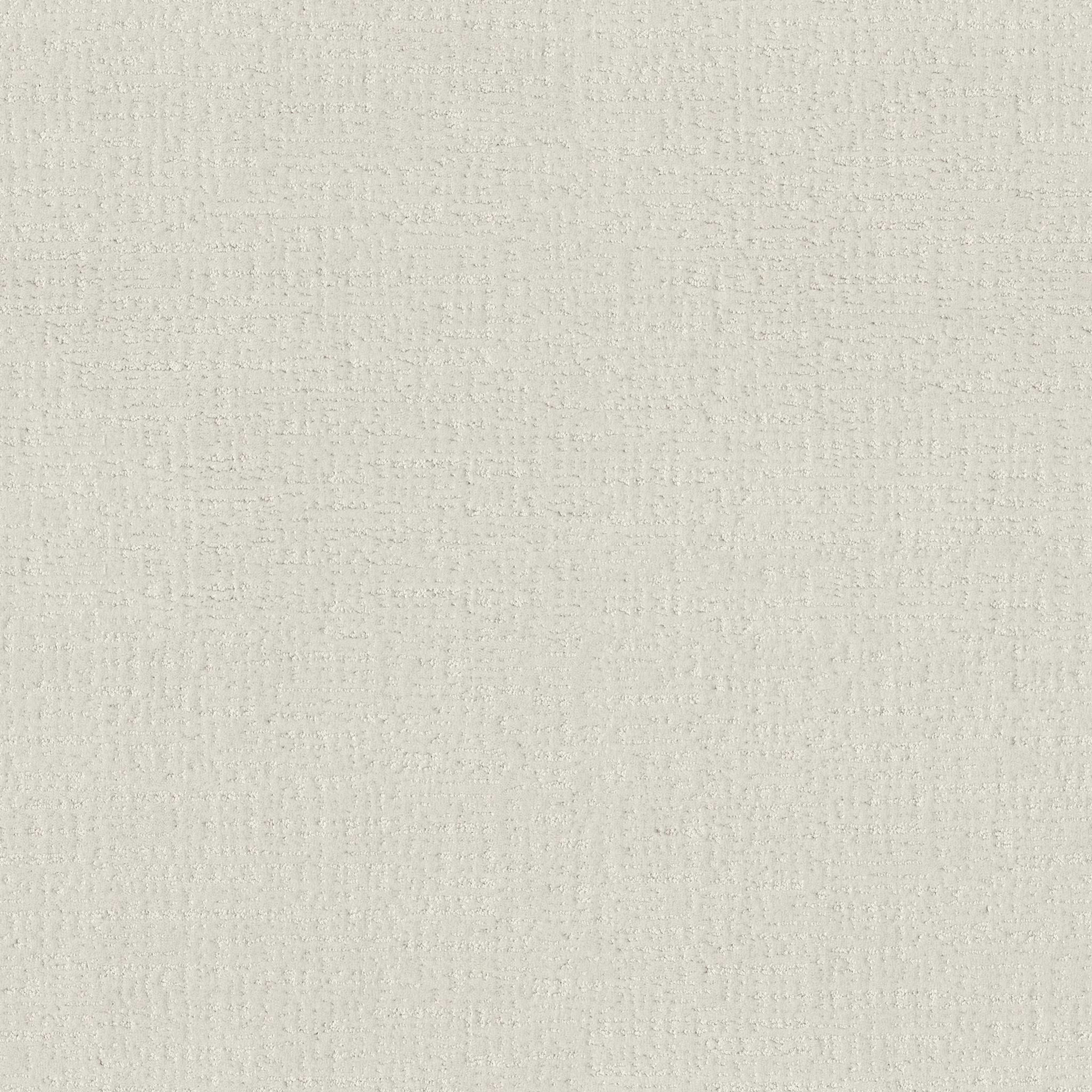 ENDLESS MEMORIES in Clean Linen Carpet