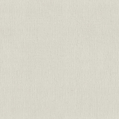ENDLESS MEMORIES in Clean Linen Carpet