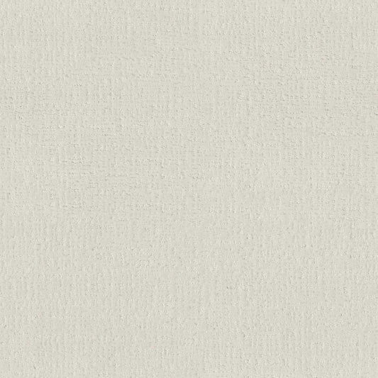 ENDLESS MEMORIES in Clean Linen Carpet