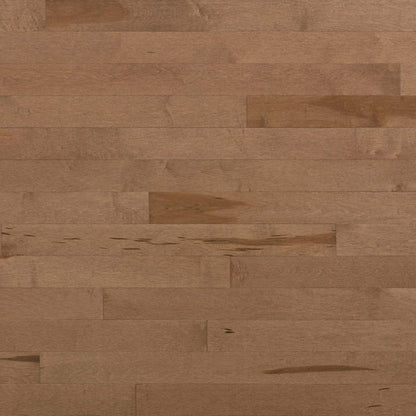 Essential Hard Maple - Engineered in Cafe Au Lait 4.125 Hardwood