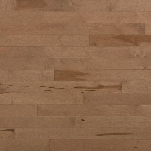 Essential Hard Maple - Engineered in Cafe Au Lait 3.125