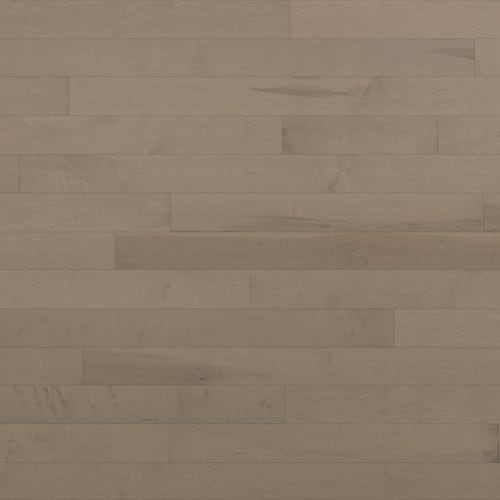 Essential Hard Maple - Solid in Talpa 2.25
