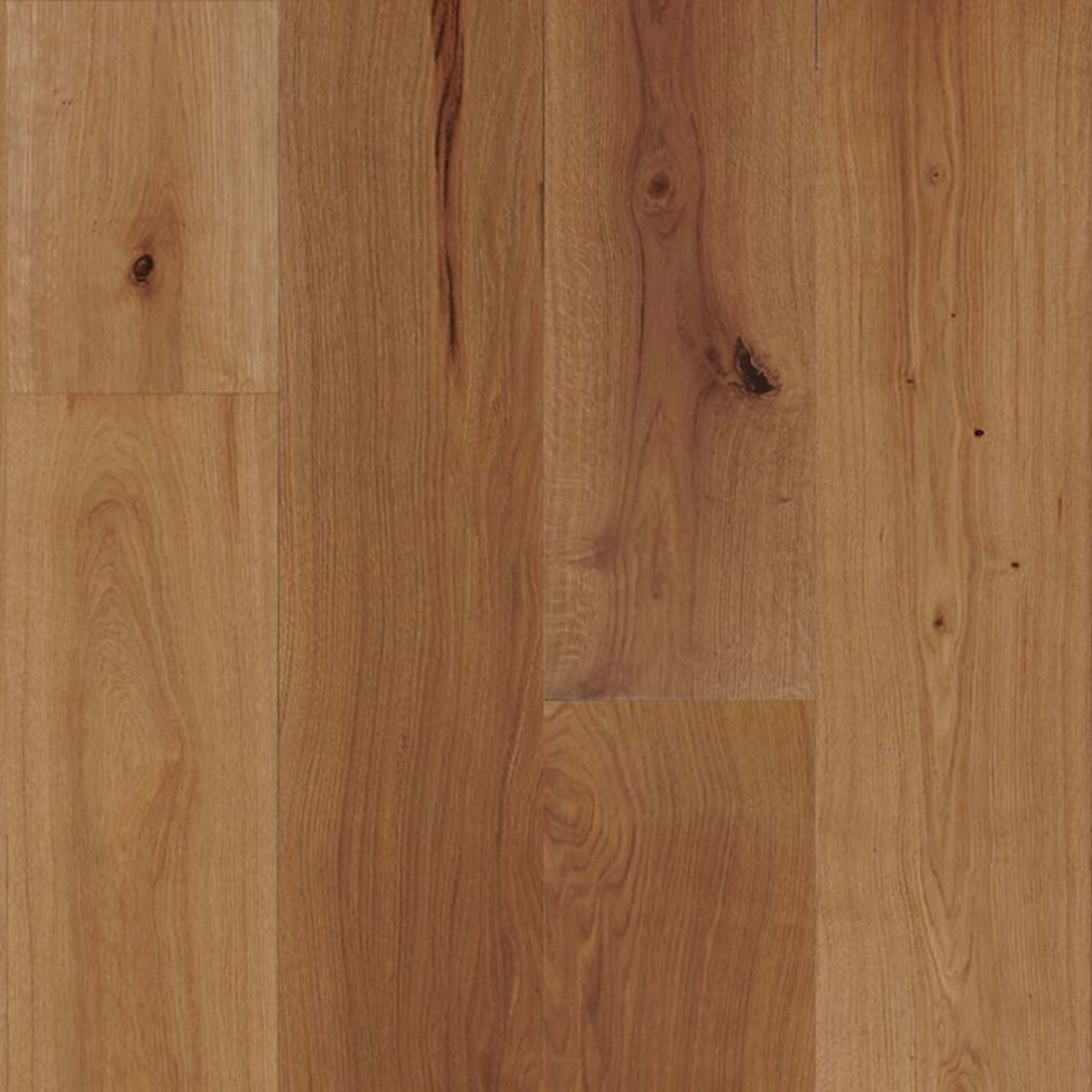 TimberBrushed Platinum  White Oak Engineered in Pale Ale 9.056" Hardwood