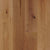 TimberBrushed Platinum  White Oak Engineered in Pale Ale 9.056" Hardwood