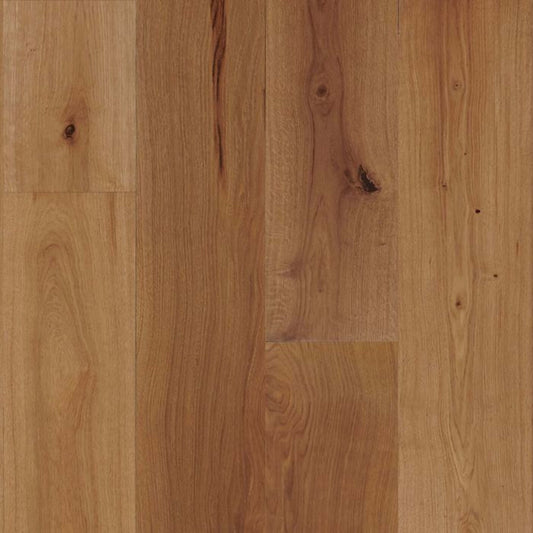 TimberBrushed Platinum  White Oak Engineered in Pale Ale 9.056" Hardwood