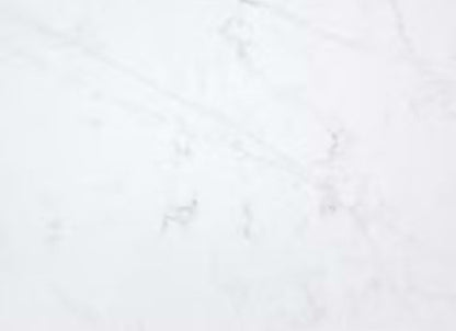 Silestone - Eternal in Et Statuario