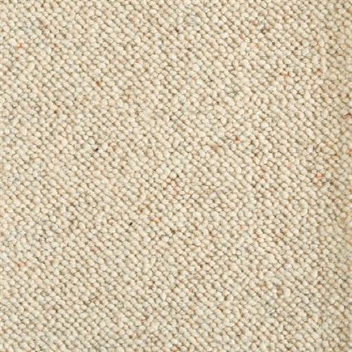 Everglades in Sundance Carpet