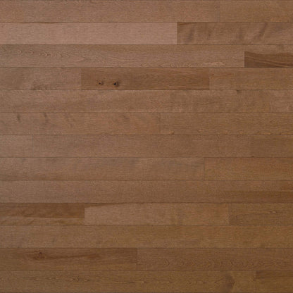 Essential Yellow Birch - Solid in Cafe Au Lait 2.25 Hardwood