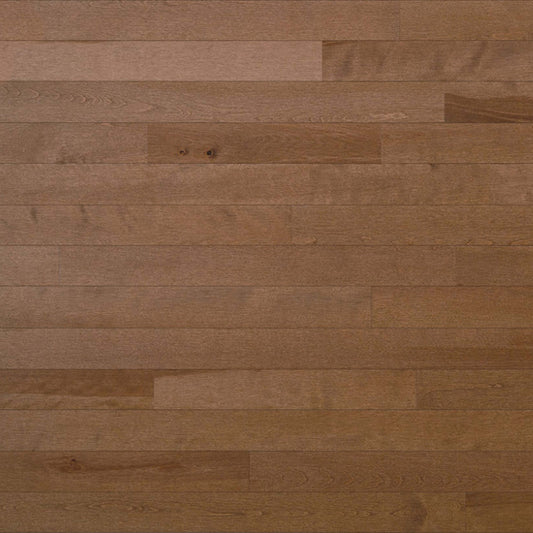 Essential Yellow Birch - Solid in Cafe Au Lait 2.25 Hardwood