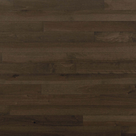 Essential Yellow Birch - Solid in Castano 2.25 Hardwood