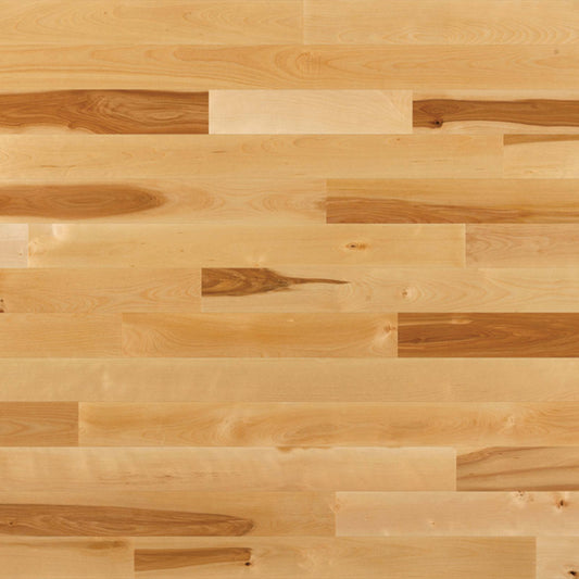 Essential Yellow Birch - Solid in Natural, Tradition 2.25 Hardwood