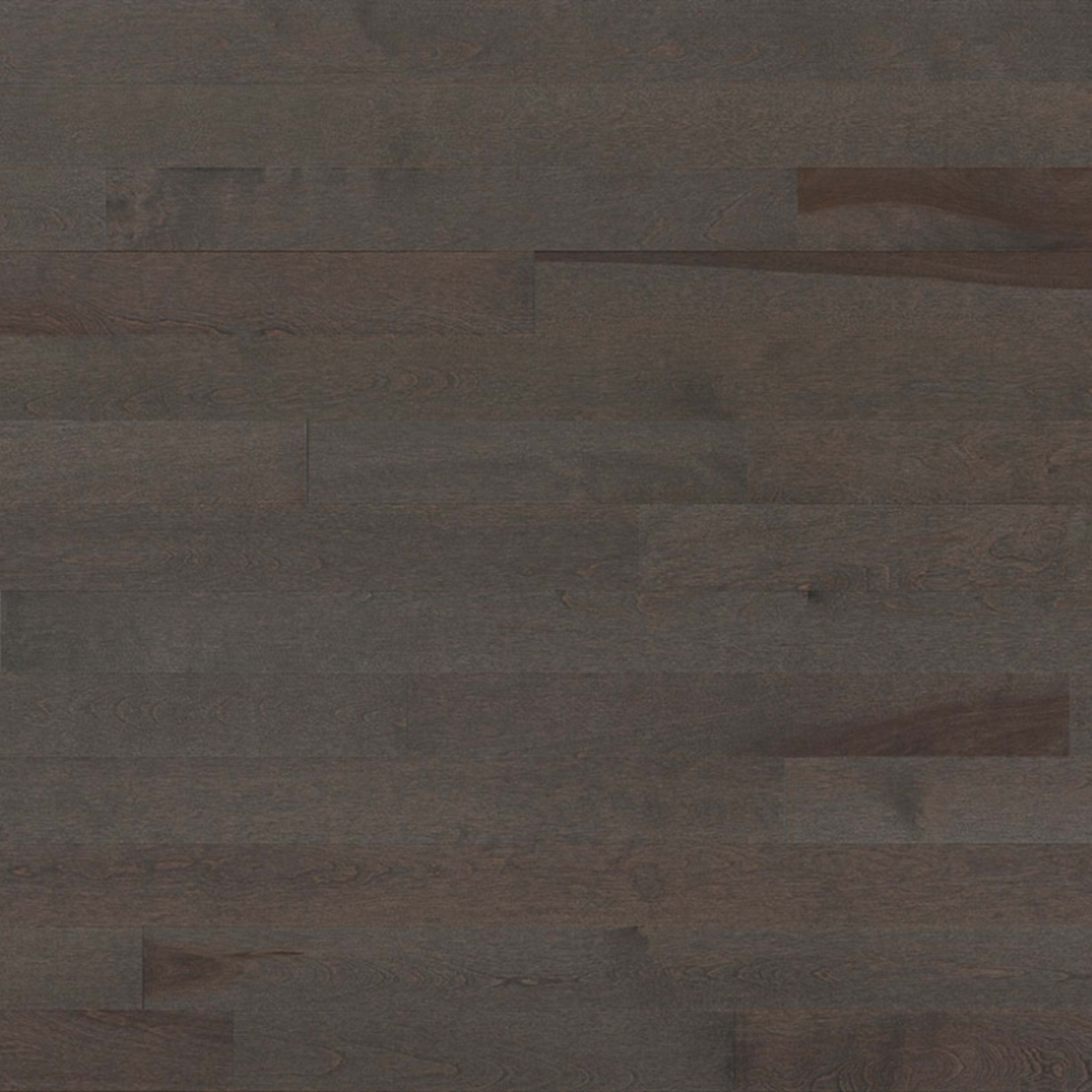 Essential Yellow Birch - Solid in Smoky Grey 3.25 Hardwood