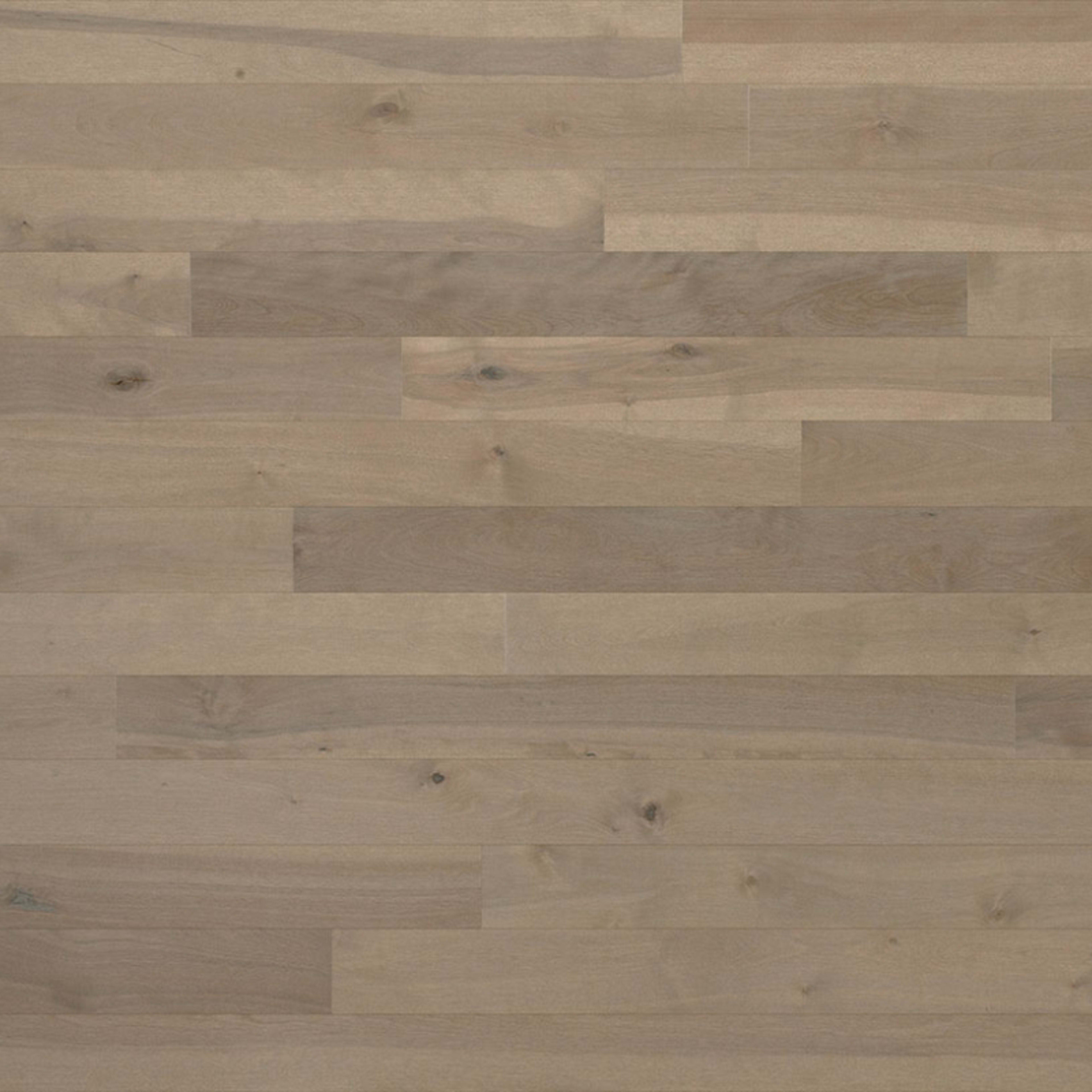 Essential Yellow Birch - Solid in Talpa 2.25 Hardwood