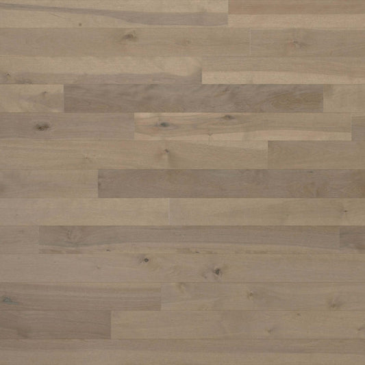 Essential Yellow Birch - Solid in Talpa 2.25 Hardwood