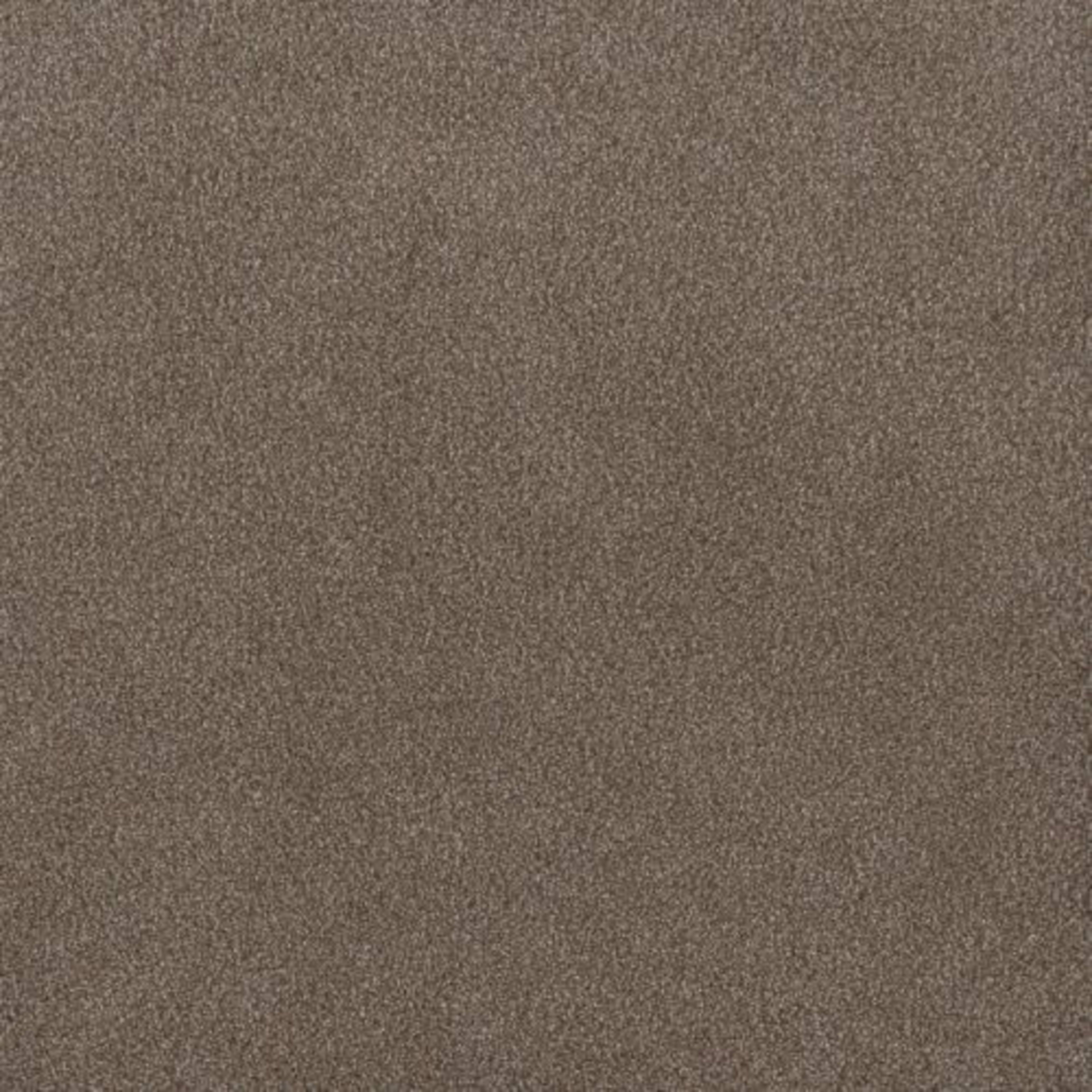 PALMETTO I in Eagle Crest Carpet