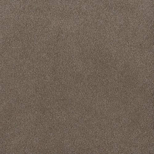 PALMETTO I in Eagle Crest Carpet
