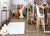 Elegancia Collection - Smooth Hard Maple Solid 3/4 in Brookline 4.25