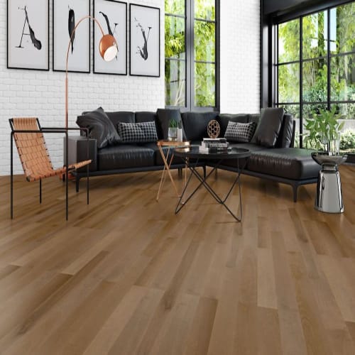 Elegancia Collection - Smooth Yellow Birch Solid 3/4 in English Tea 3.25