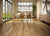 Elegancia Collection - Smooth Hickory Engineered 3/4 in Fuego 5
