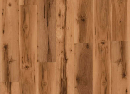 Natural Beauty Max 7 - Enchanted Forest in Smoked Amber