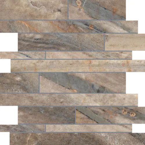 Evolution in Earth Strip