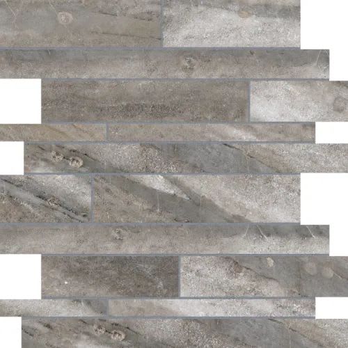 Evolution in Mica Strip