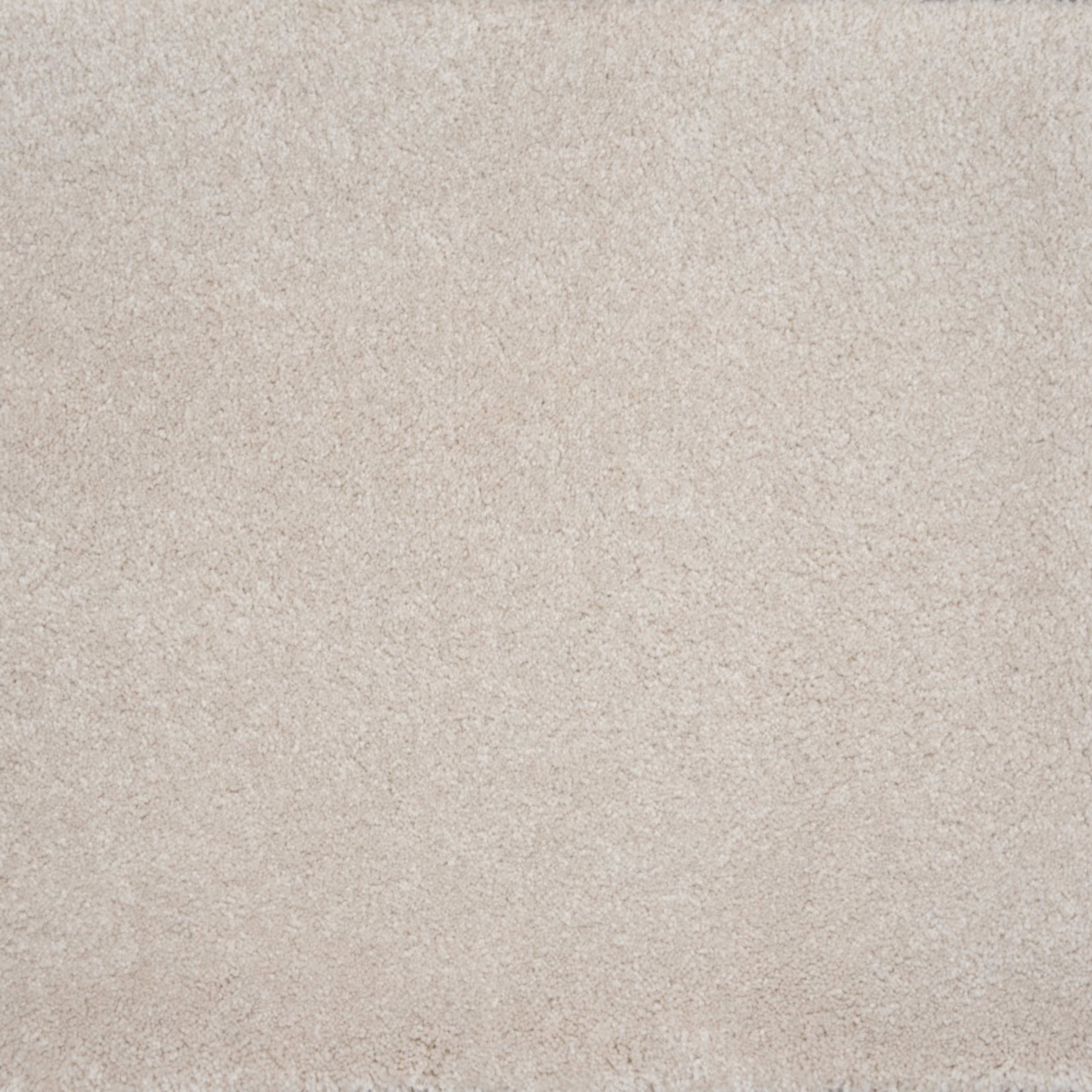 Evolve in Pearl Carpet