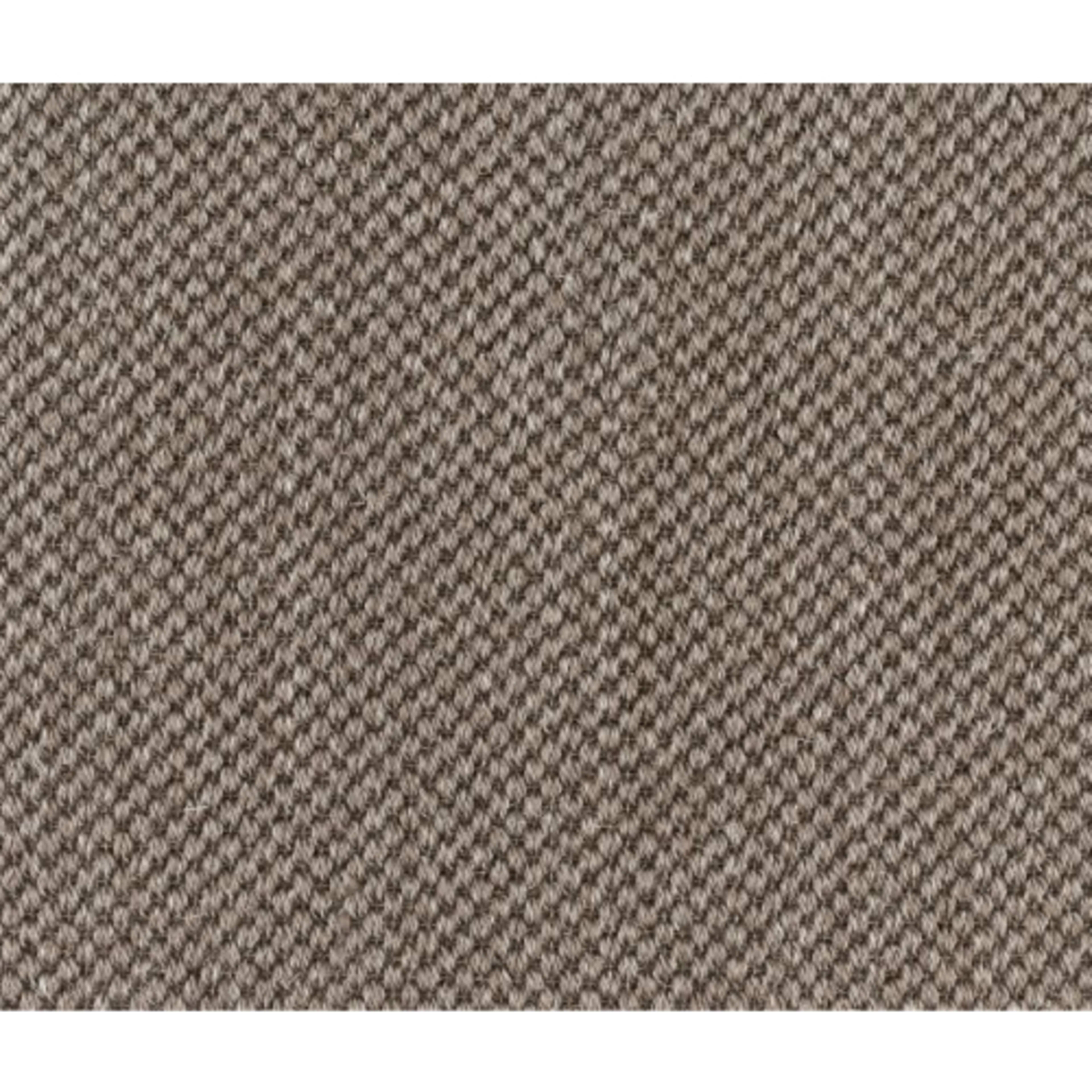 Morley in Pepper Carpet