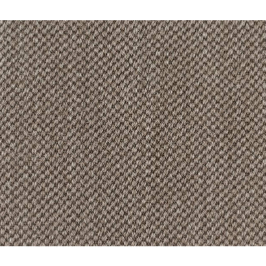 Morley in Pepper Carpet