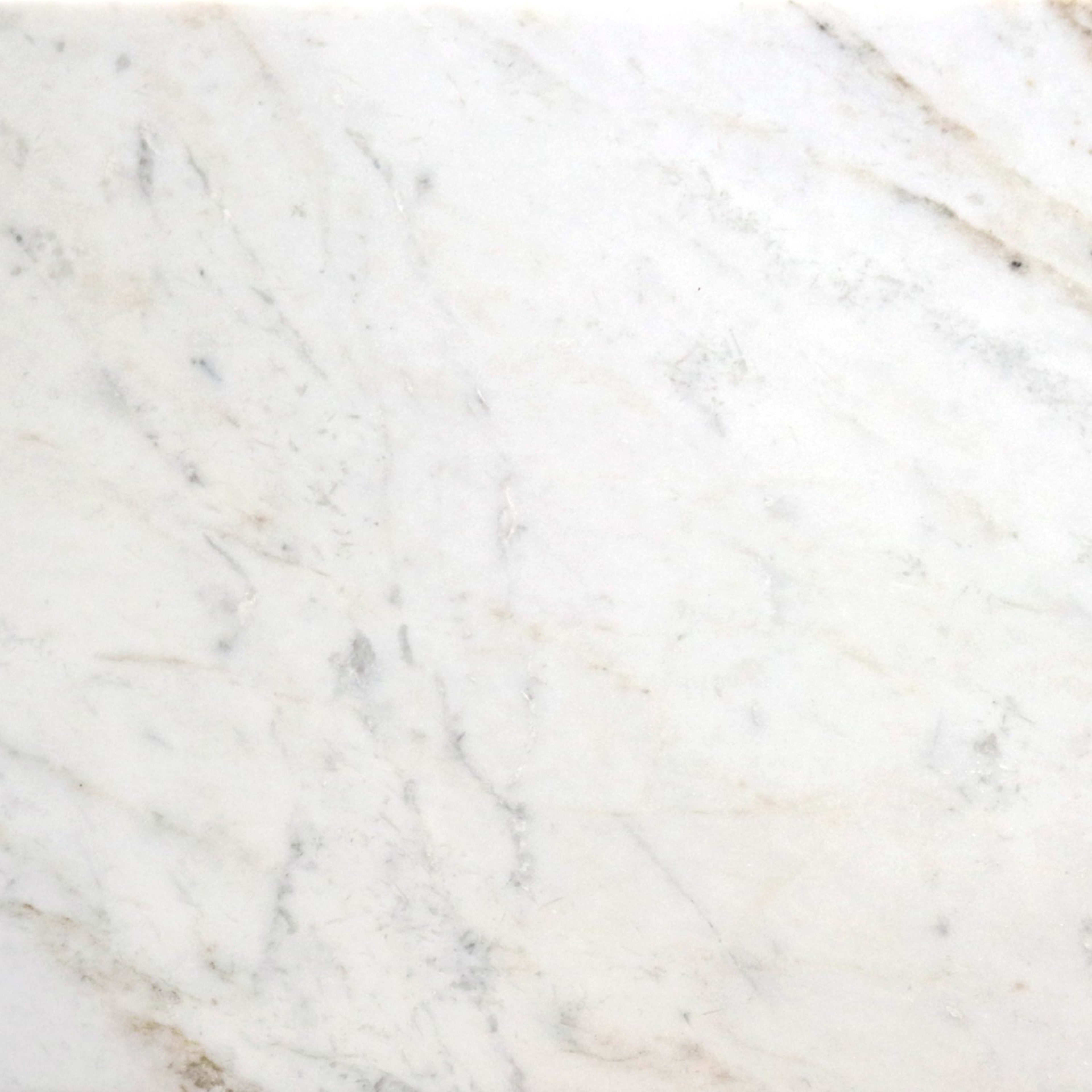 Premier Marble in Casablanca Honed 12x12 Natural Stone