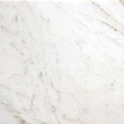 Premier Marble in Casablanca Honed 12x12 Natural Stone