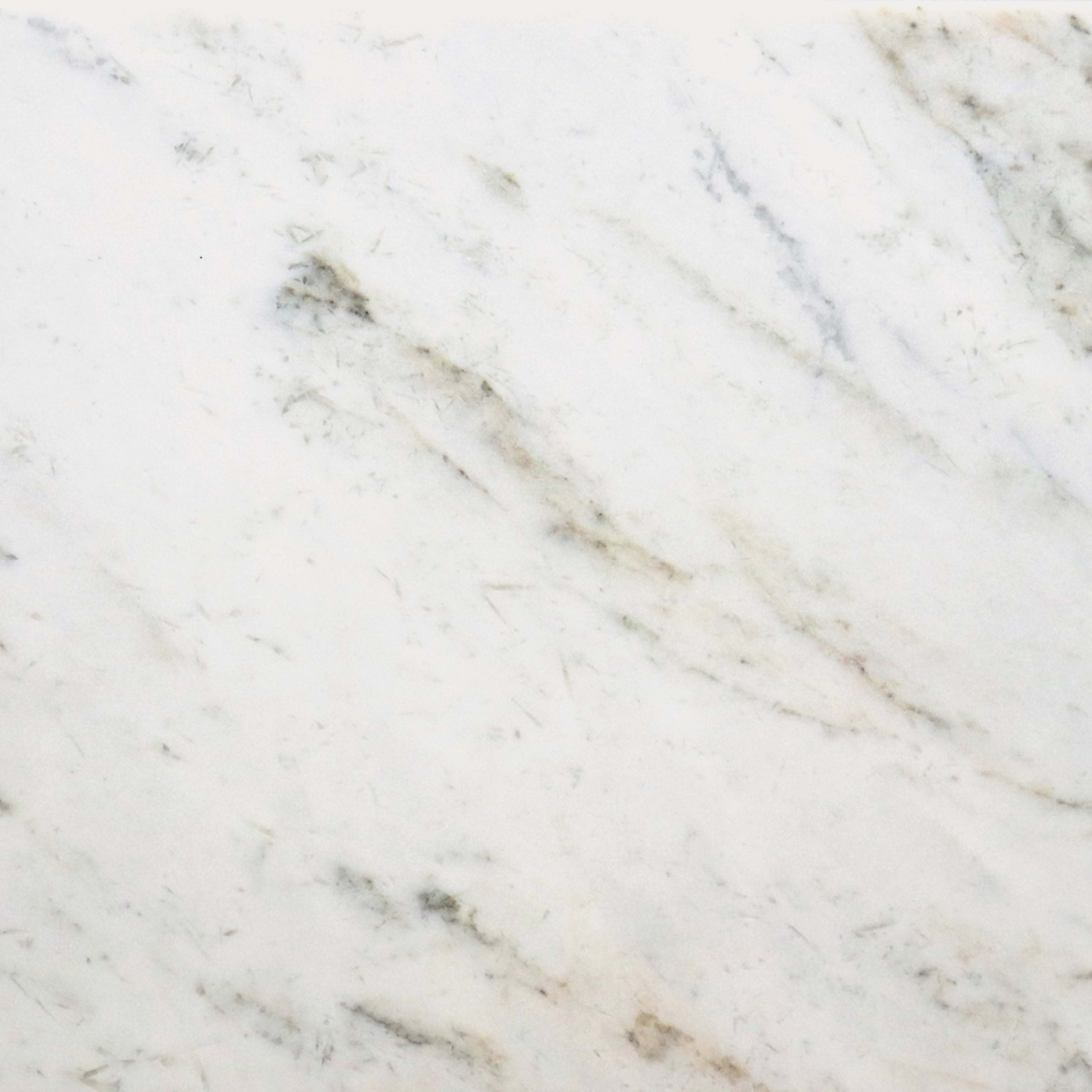 Premier Marble in Casablanca Honed 12x24 Natural Stone