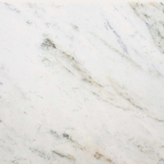 Premier Marble in Casablanca Honed 12x24 Natural Stone
