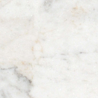 Premier Marble in Casablanca Honed 3x6 Natural Stone