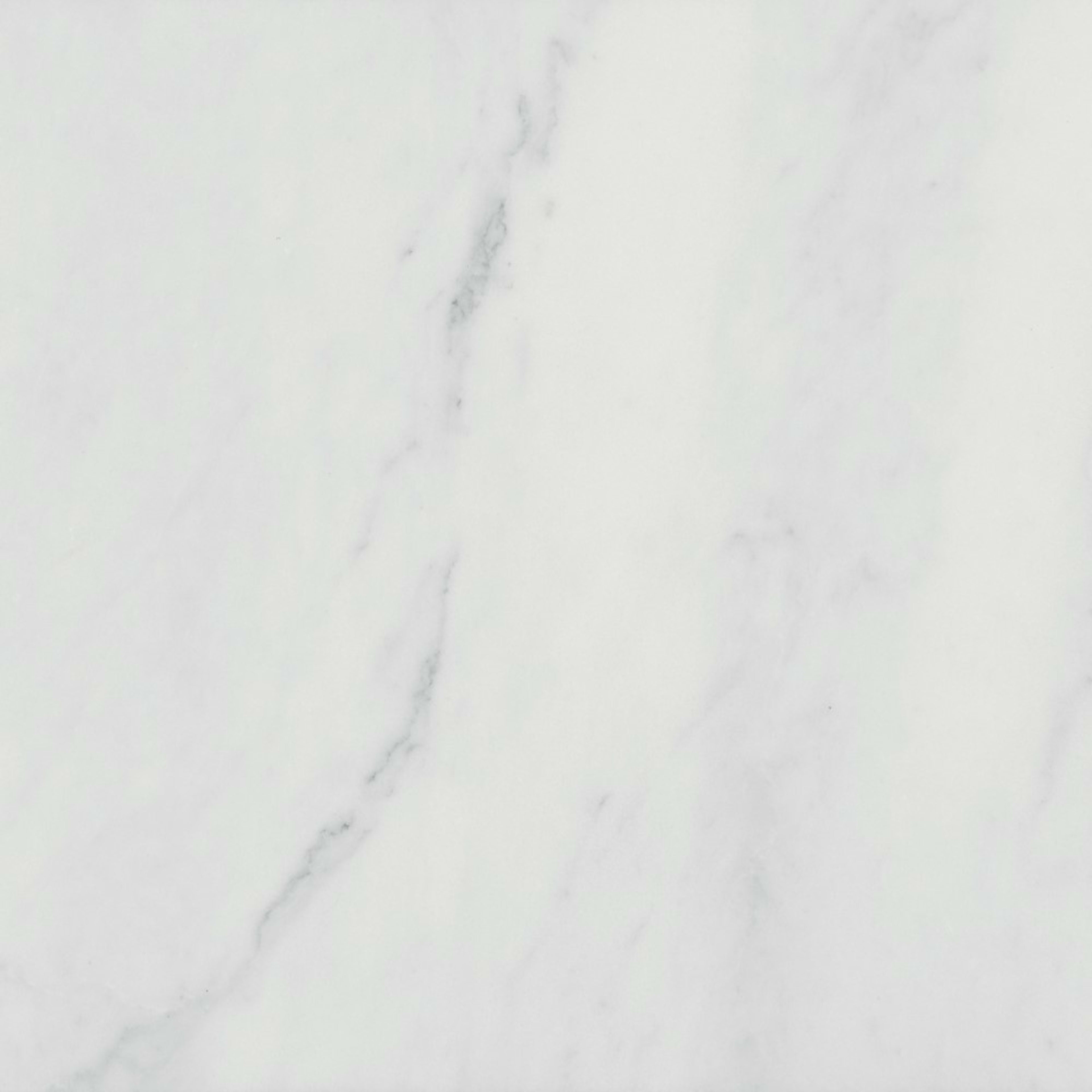 Premier Marble in Makrana Honed 12x12 Natural Stone