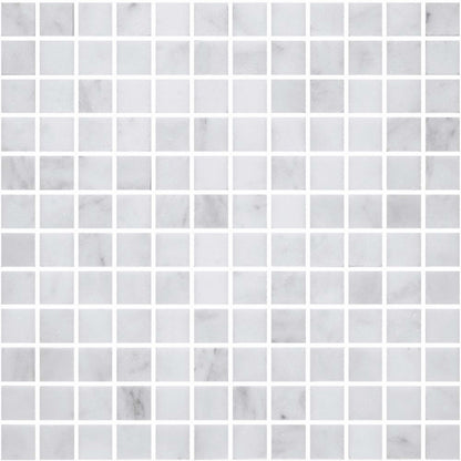 Premier Marble in Makrana Polished M1x1 Natural Stone
