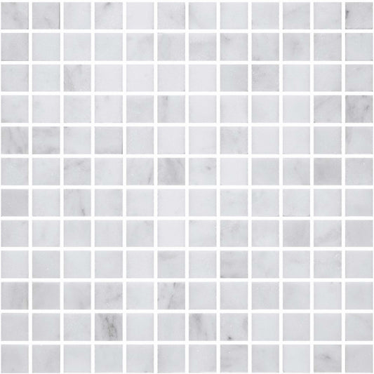 Premier Marble in Makrana Polished M1x1 Natural Stone