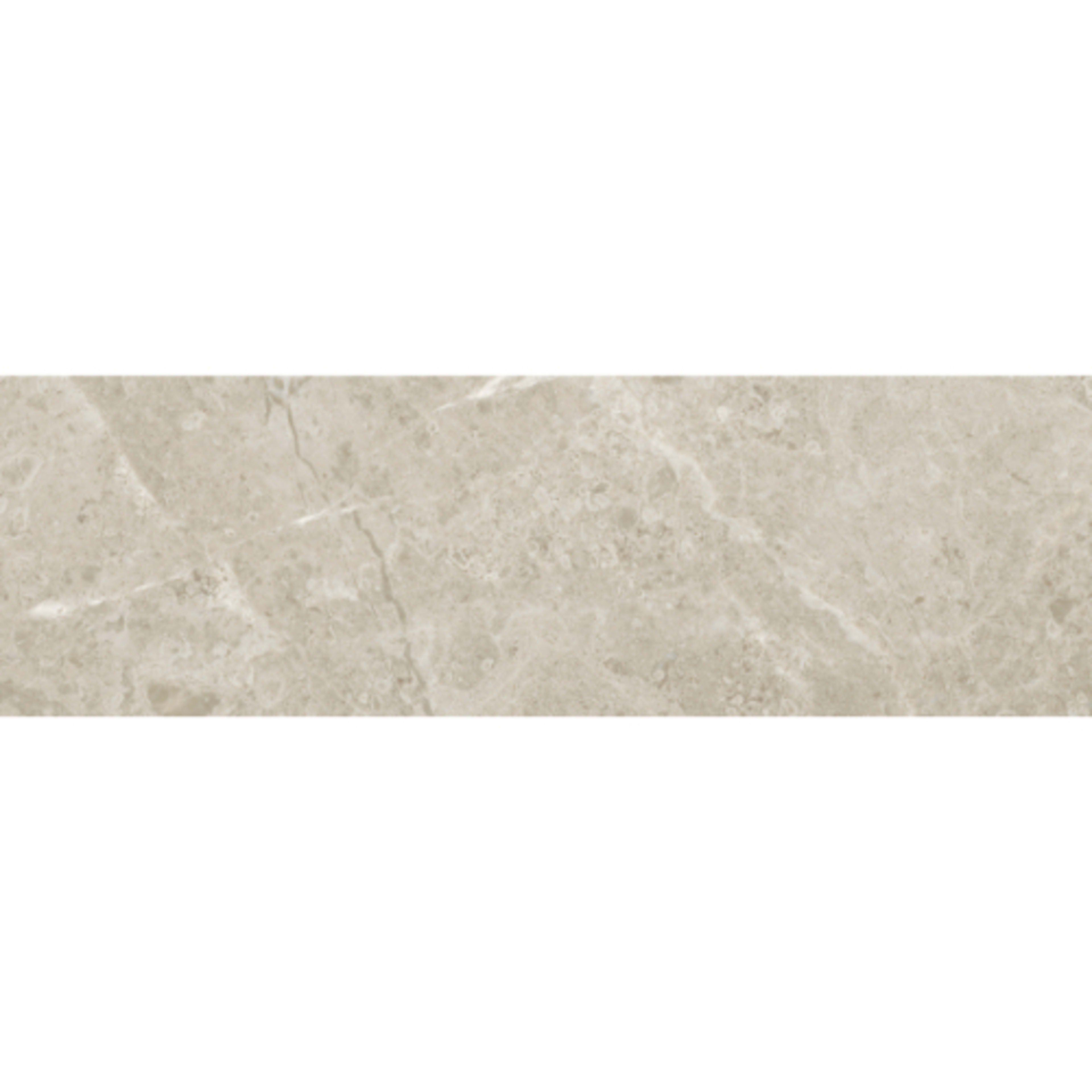 Premier Marble in Argento Honed 3x9 Natural Stone