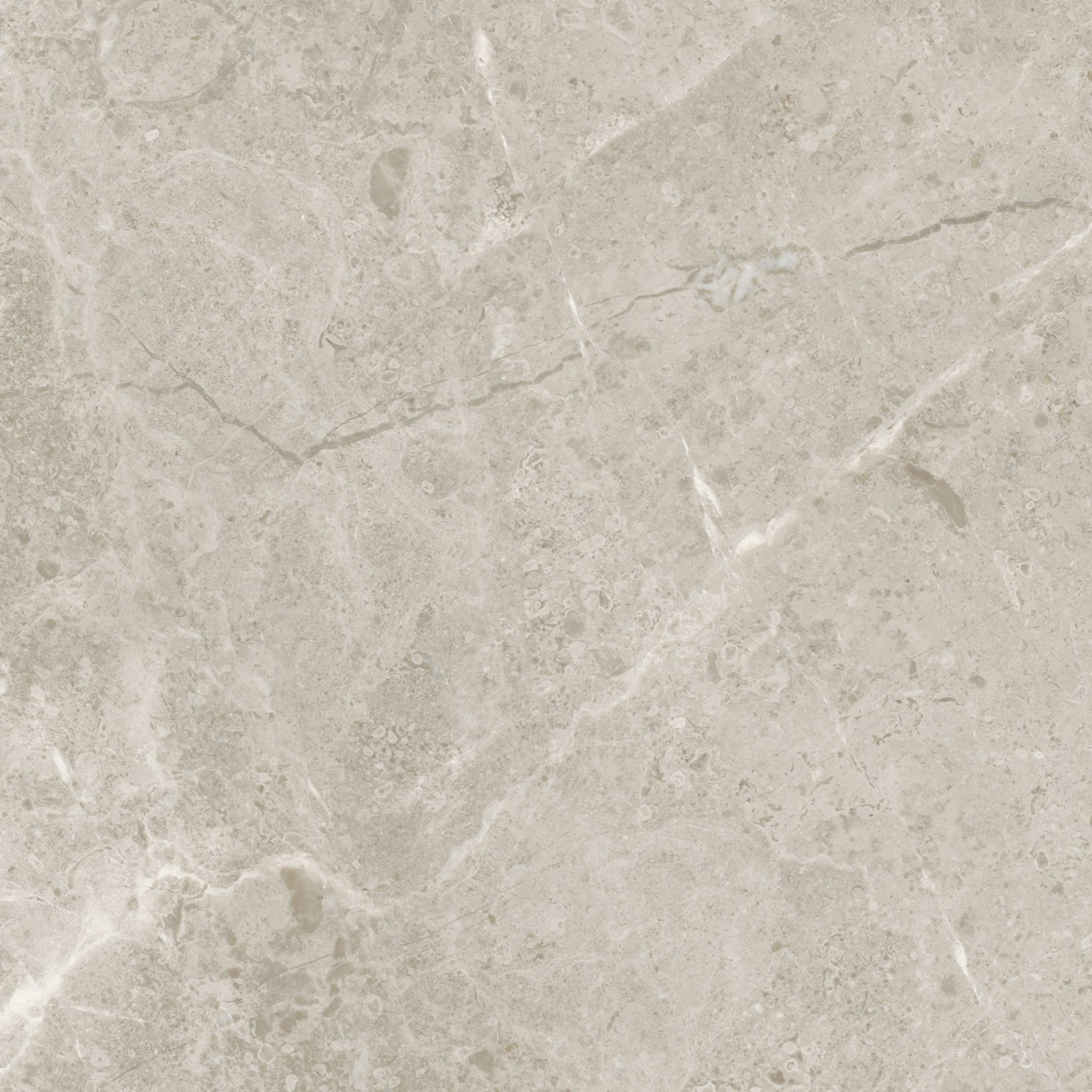 Premier Marble in Argento Polished 12x24 Natural Stone