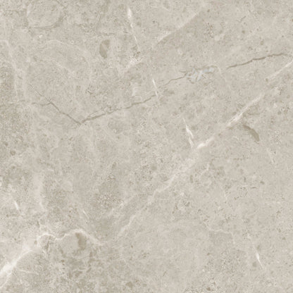 Premier Marble in Argento Polished 12x24 Natural Stone