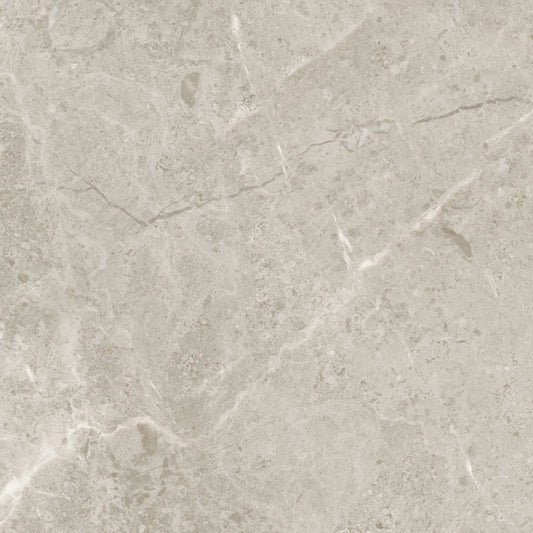 Premier Marble in Argento Polished 12x24 Natural Stone