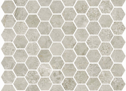 Premier Marble in Argento Polished M12hex