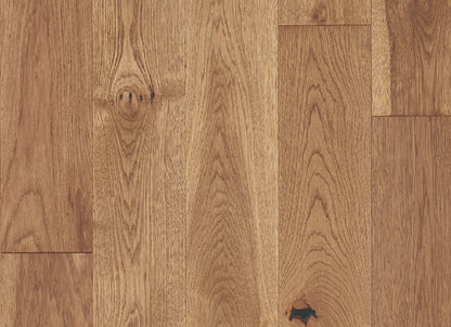 Latitude Collection - Forest Park in Sunbeam