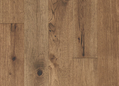 Latitude Collection - Forest Park in Trail