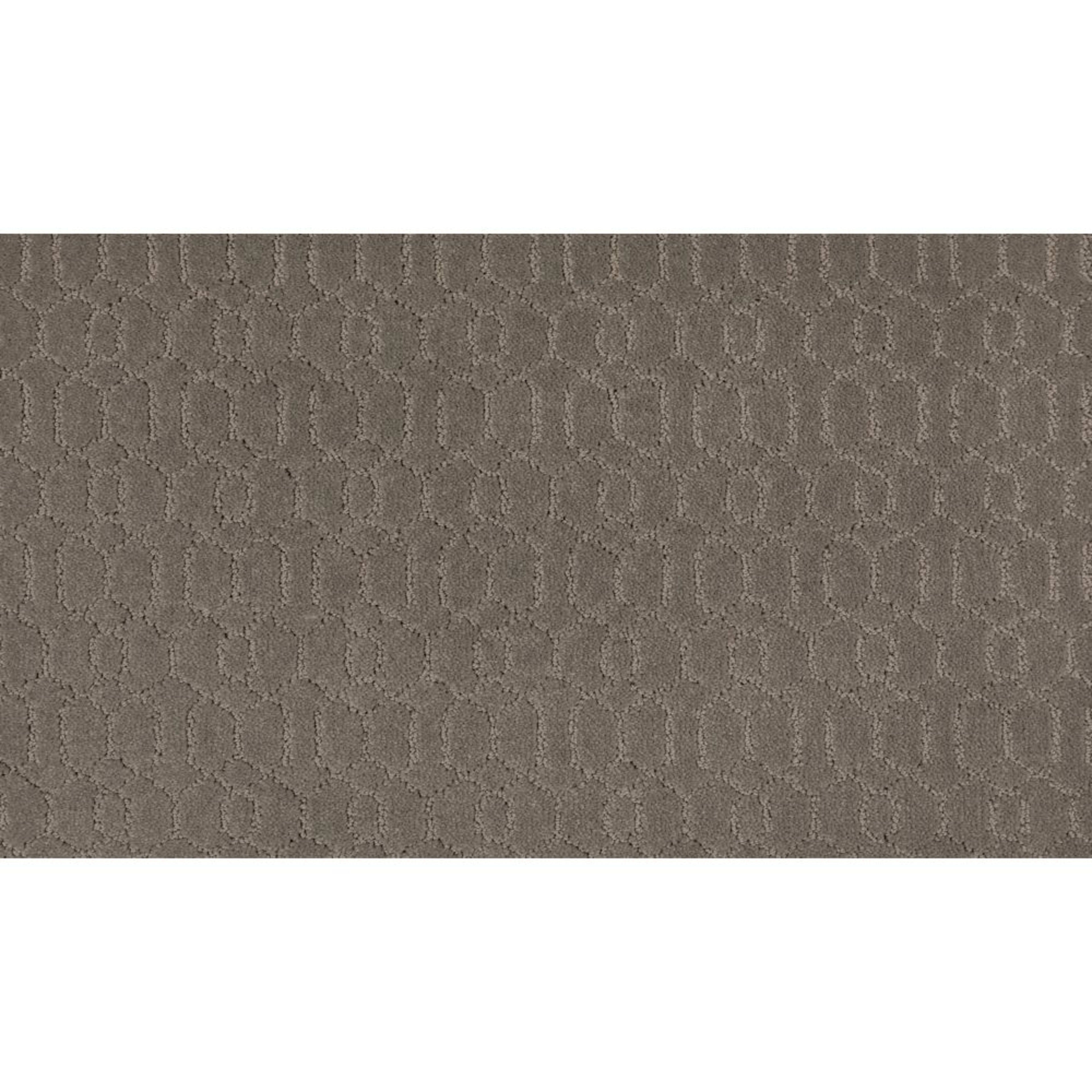 Delicate Tracery in Northwind Carpet