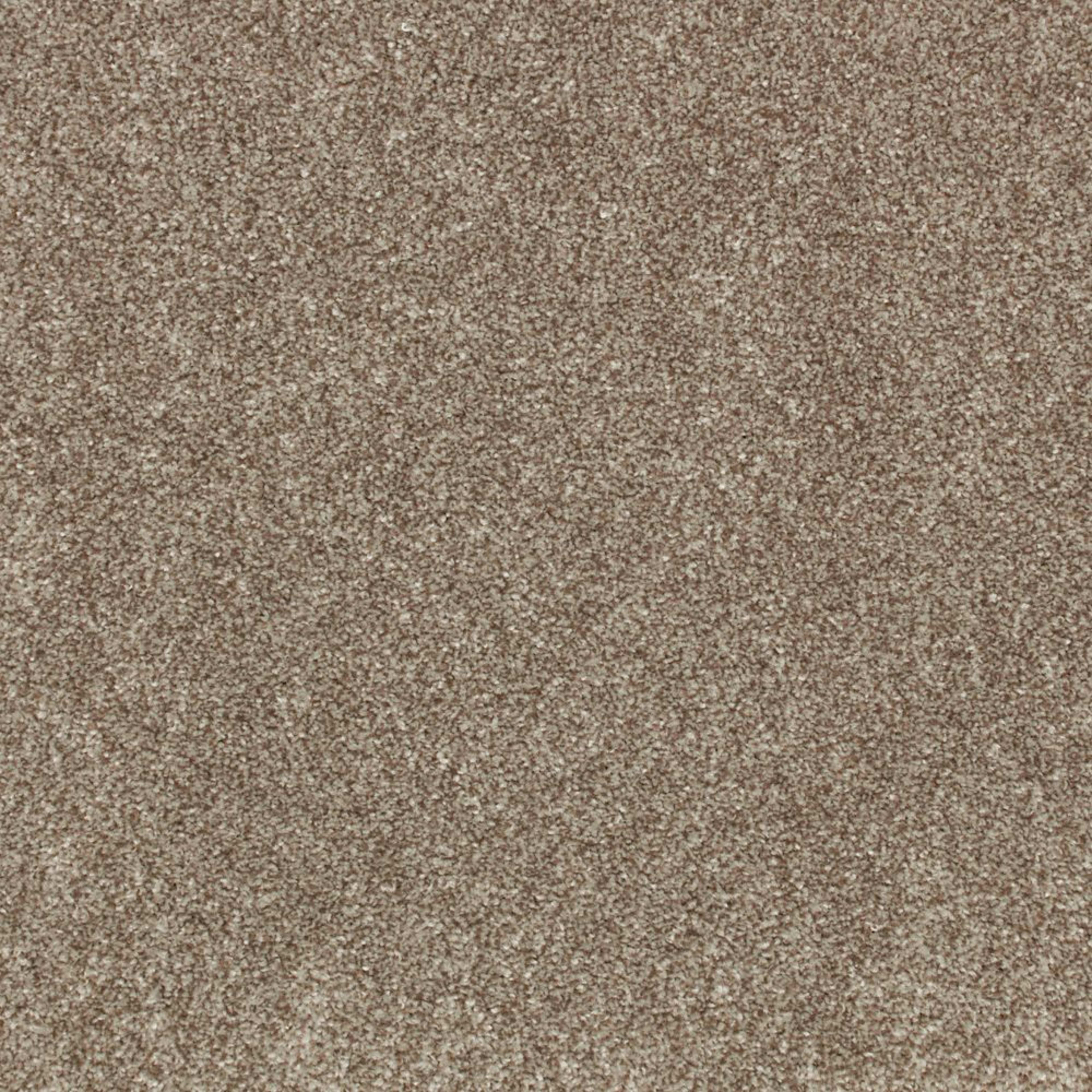 Industrial Tones in Hearthstone Carpet