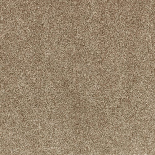 Industrial Tones in Canyon Shade